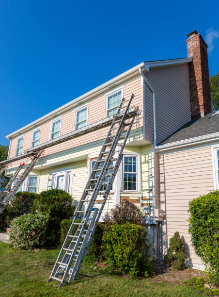 Best Attic Cleanout  in Millport, AL